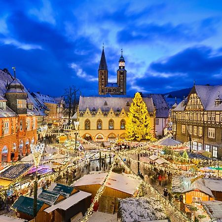 Fewo Seeufer #Grosser Garten#Seenaehe# Von Harztraveler กอสลาร์ ภายนอก รูปภาพ